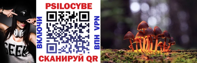 Купить  Козьмодемьянск  Галлюциногенные грибы Magic Shrooms 